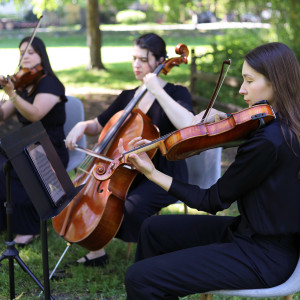 Evanston Strings, Elegant & Professional Live Music - Violinist in Chicago, Illinois