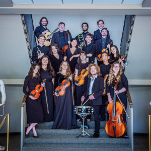 Elegant String Ensembles (Solo, Duos, and Trios) - Classical Ensemble / Chamber Orchestra in Spartanburg, South Carolina