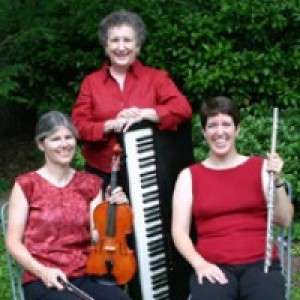 Elegant Echoes - Acoustic Band in Bethesda, Maryland