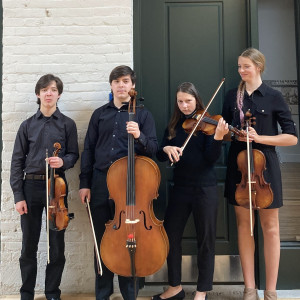 Elemental Quartet - Classical Ensemble / Holiday Party Entertainment in Hickory, North Carolina