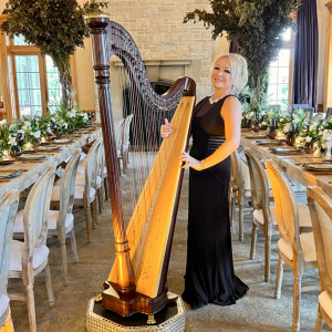 Elena - Harpist in Toronto, Ontario