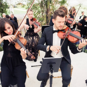 Elite Music Group - String Quartet / Wedding Musicians in Los Angeles, California