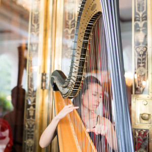 Emily Belvedere Harpist - Harpist in Richmond Hill, Ontario