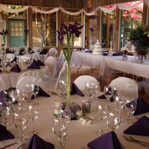 Envy Me Weddings - Event Planner in Lake Wales, Florida
