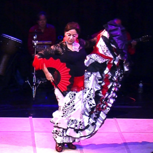 Espana Flamenca - Flamenco Dancer in Playa Del Rey, California