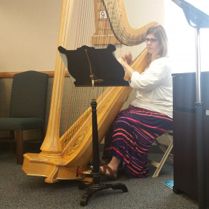 Event harpist - Harpist in Bismarck, North Dakota