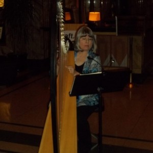 Event Harpist