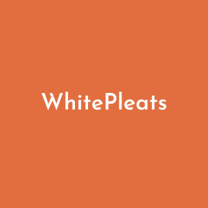 White Pleats - Caterer in Princeton, New Jersey