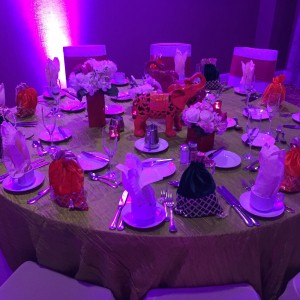 Exclusive Events - Event Planner in Sugar Land, Texas