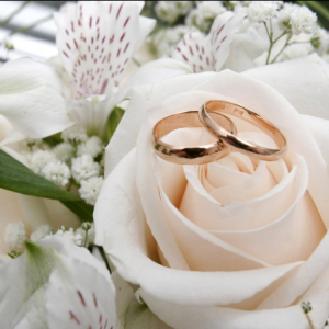 Exquisite Events and Coordination - Wedding Planner / Wedding Services in Norwalk, California