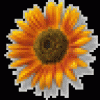 Small thumbnail image for reviewer Ana M.