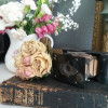 Small thumbnail image for reviewer Nancy .. K.
