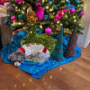 Small thumbnail image for reviewer Tracey D.