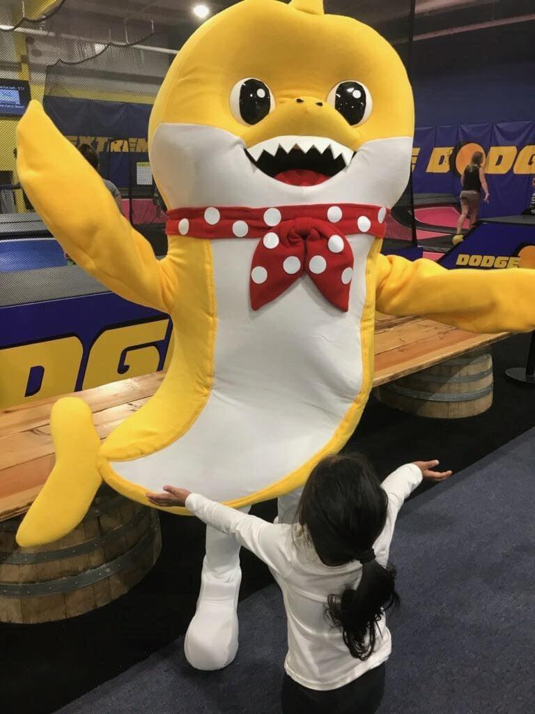 Hire Face Candy Art and Entertainment Face Painter in Meriden