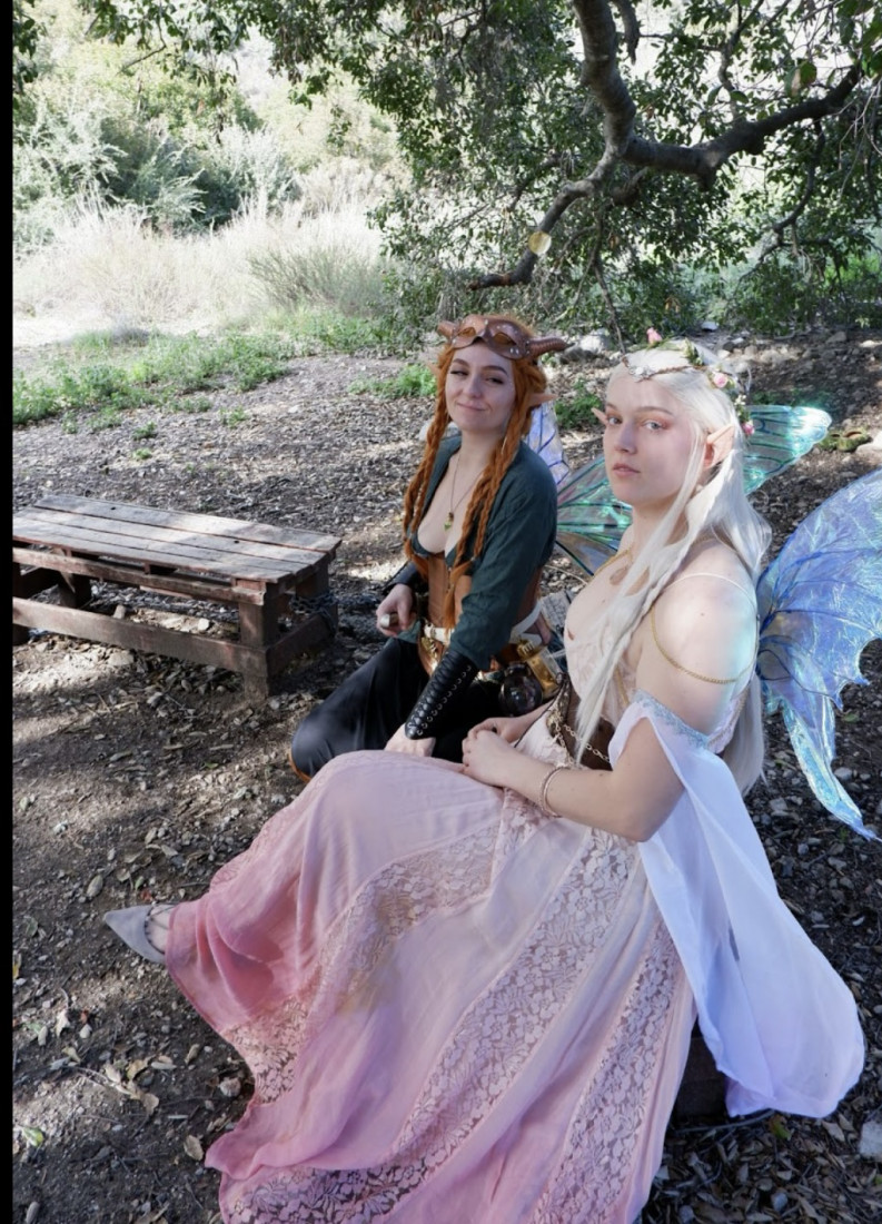 Gallery photo 1 of Fairy for hire