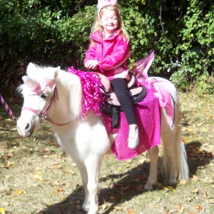 Fairytale Pony Parties