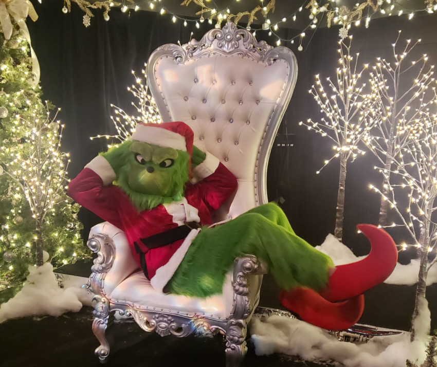 Gallery photo 1 of Family Friendly Grinch