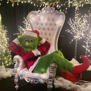 Family Friendly Grinch - Costumed Character in Clayton, North Carolina