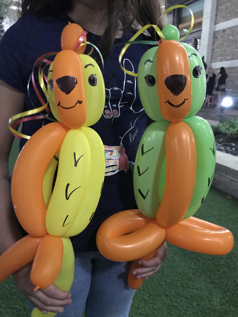 Hire Fantasy Balloons and Face Painting Balloon Twister in Houston, Texas