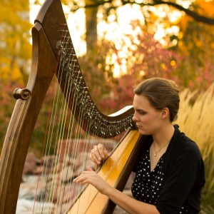 Farm Girl's Harp - Harpist in Fargo, North Dakota