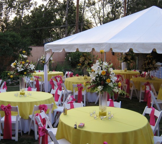 Gallery photo 1 of Festive Occasions Party Rentals