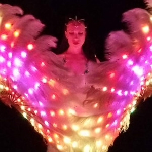 Fire Show, LED Wings Show, Fire Fans - Fire Dancer in Miami Beach, Florida