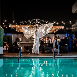 Firestorm Talent and Entertainment Premier - Aerialist in Los Angeles, California
