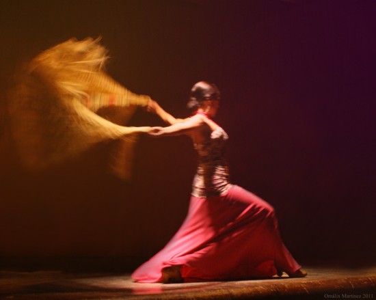Gallery photo 1 of Flamenco De Perfil