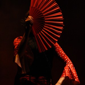 Flamenco De Perfil