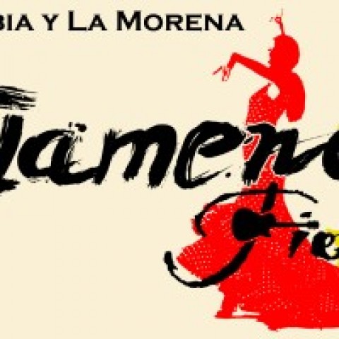 Hire Flamenco Fiesta! La Rubia y La Morena - Flamenco Dancer in Island  Park, New York