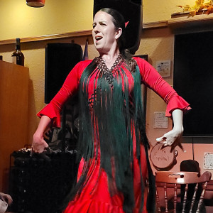 Flamencoalacarte - Flamenco Dancer in Fort Lauderdale, Florida