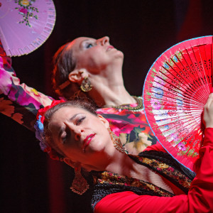 Flamencolía - Flamenco Dancer in Toronto, Ontario