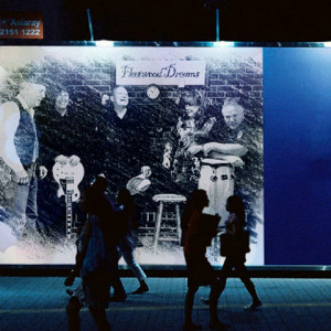 Fleetwood Dreams - Fleetwood Mac Tribute Band in Dayton, Ohio