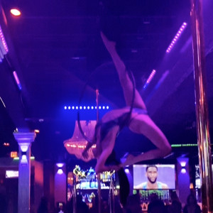 Spicy Cynamins - Aerialist in Miami, Florida