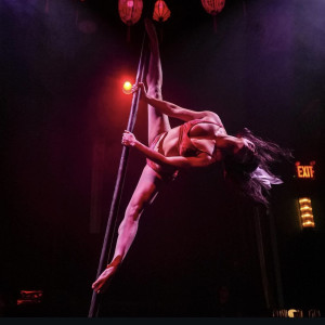 Flying Pole Circus Act - Aerialist in Washington, District Of Columbia