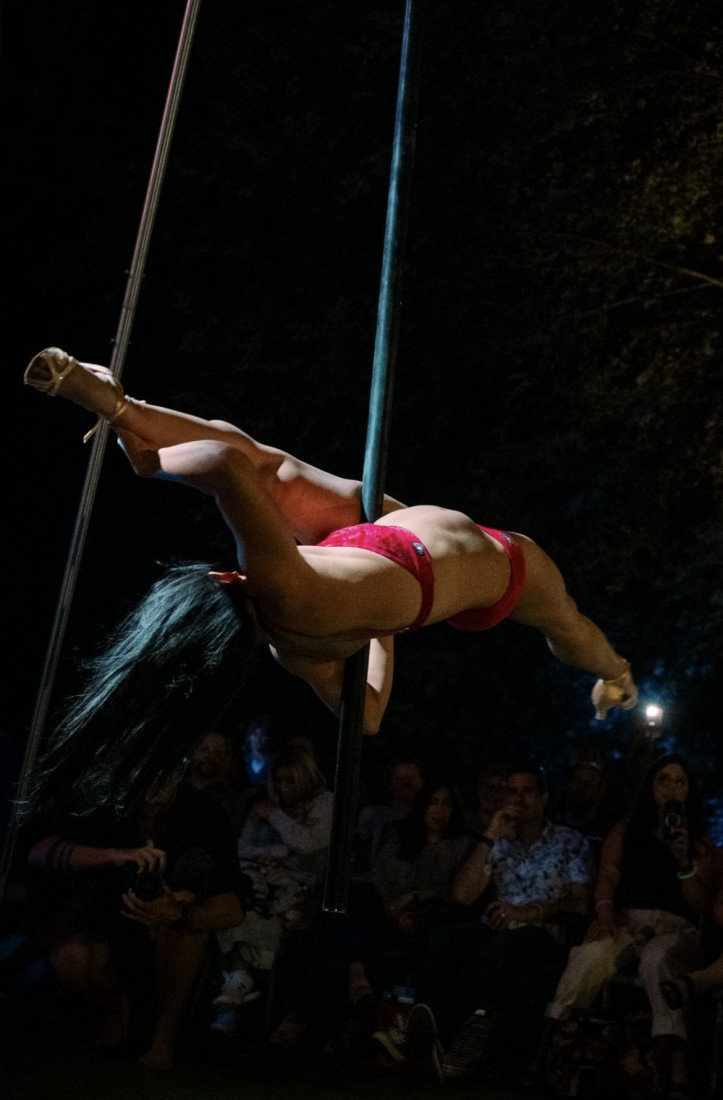 Gallery photo 1 of Flying Pole Circus Act