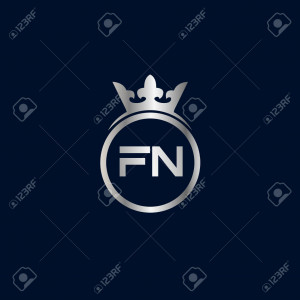 F&N Consulting