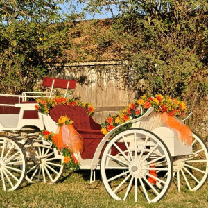 Fontes Carriages - Horse Drawn Carriage / Wedding Services in Turlock, California