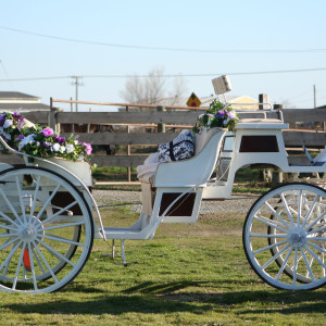 Fontes Carriages - Horse Drawn Carriage in Turlock, California