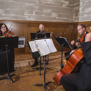 Forte Strings Quartet - String Quartet in Fort Worth, Texas