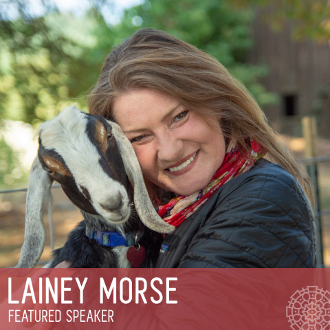 The Little Book of Goat Yoga by Lainey Morse