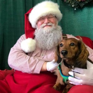Frederick Santa Claus - Santa Claus / Holiday Entertainment in Frederick, Maryland