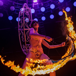 Fresh kiwi performance - Hoop Dancer / Fire Dancer in Dallas, Texas