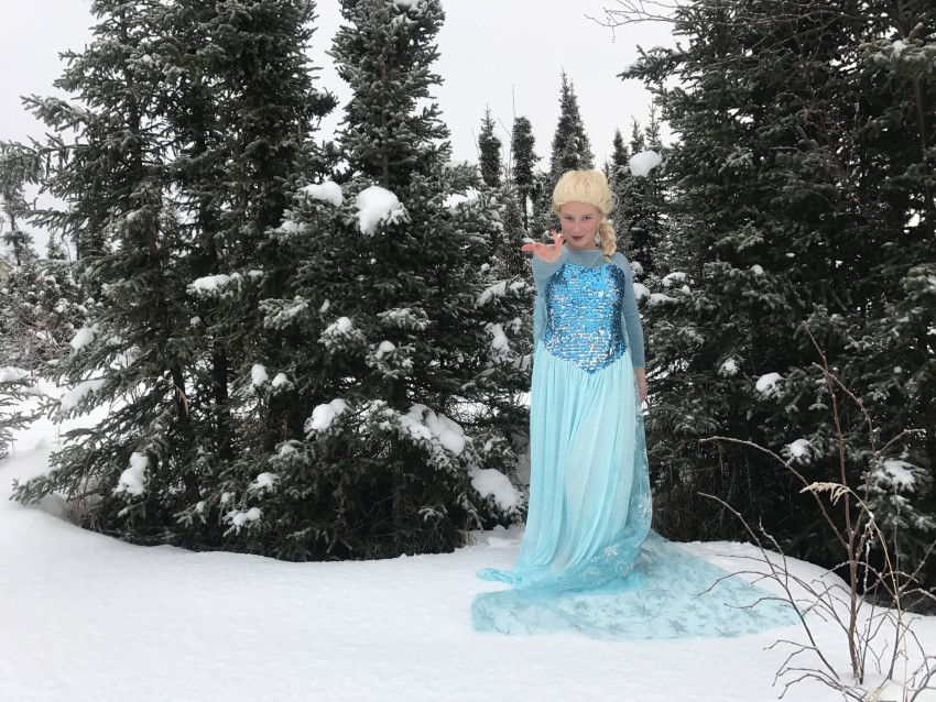 Gallery photo 1 of Frozen Fairytales
