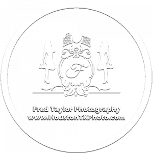 FT Photo Studio - Photographer in Spring, Texas