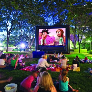 Fun Flicks In & Outdoor Movies