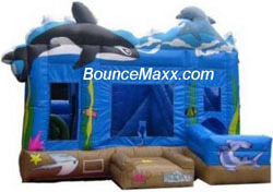 Gallery photo 1 of Fun Factory Inflatables