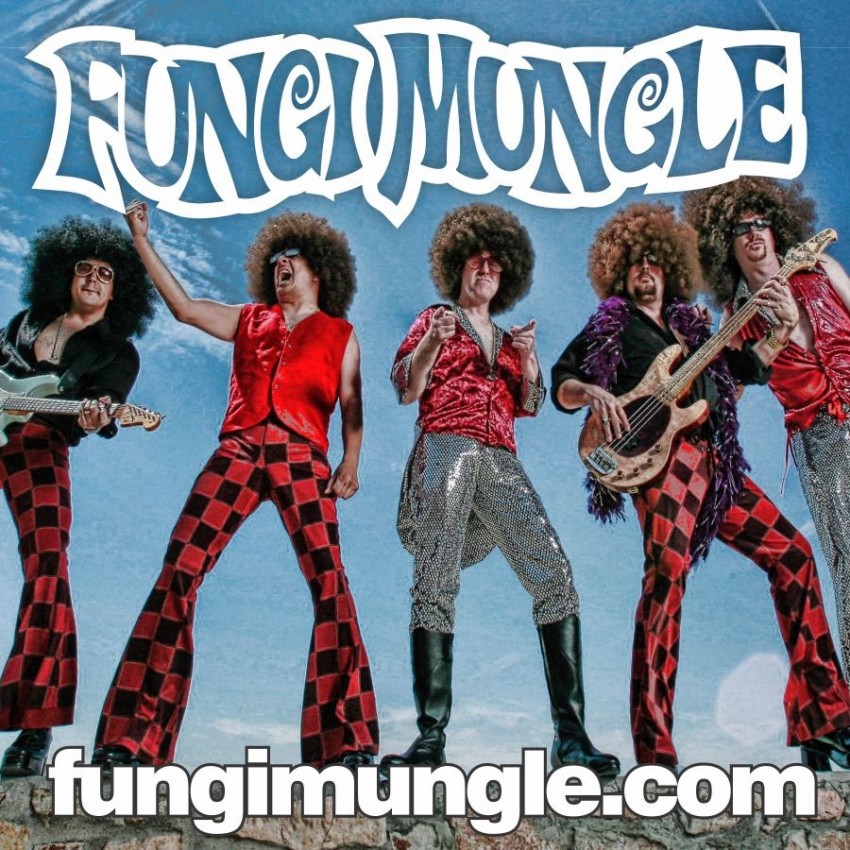 hire-fungi-mungle-disco-band-in-el-paso-texas