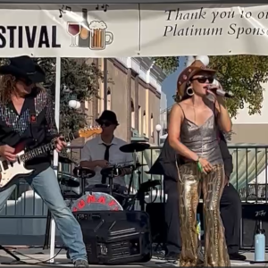 Funky Syndrome - Cover Band / Wedding Musicians in Orange, California