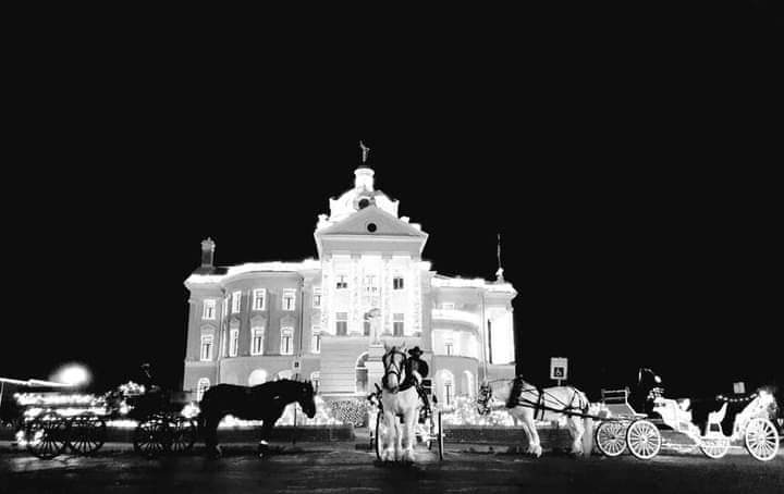 Gallery photo 1 of Galveston Carriage Tours